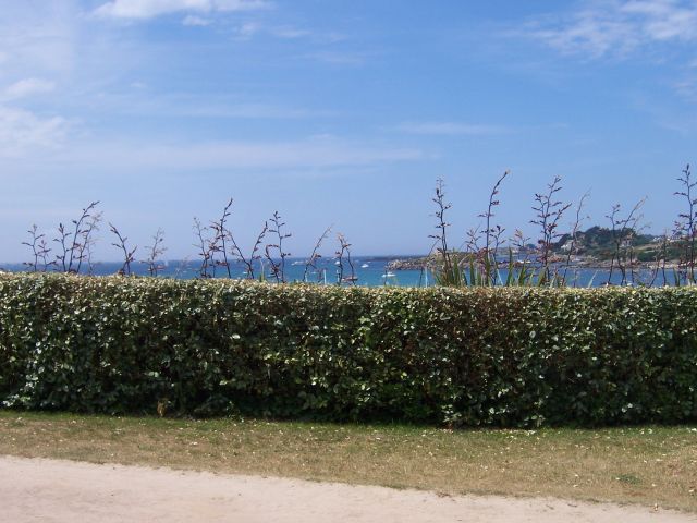 106_4668.JPG