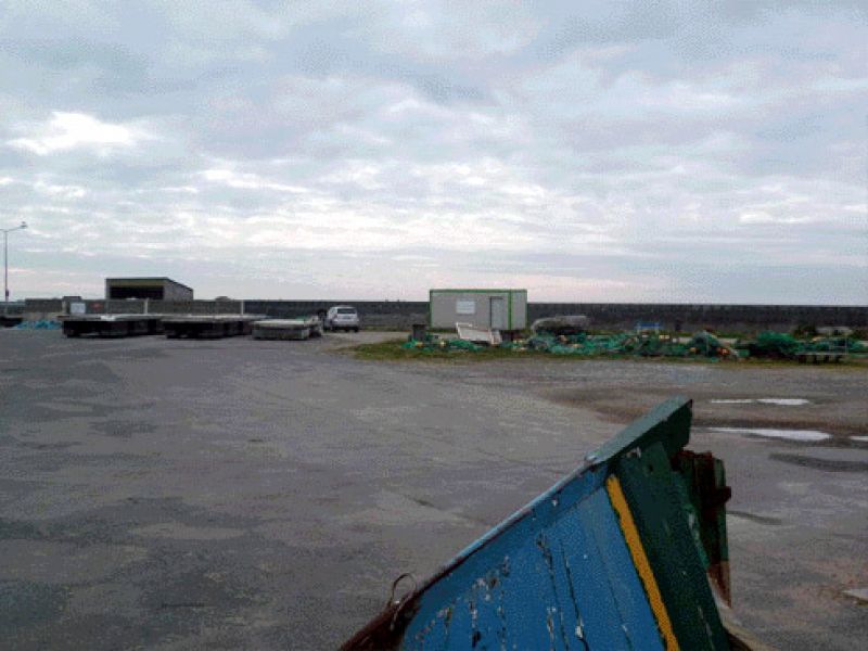 05.jpg